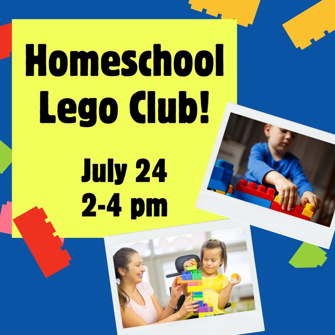 Colorful Building Blocks Back to School Student Intro Video (Instagram Post) (12)