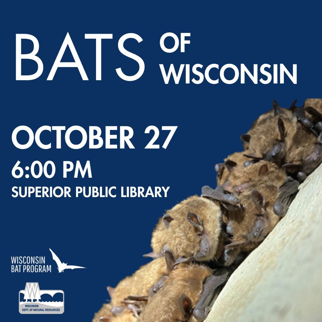 BATS (1080 x 1080 px)