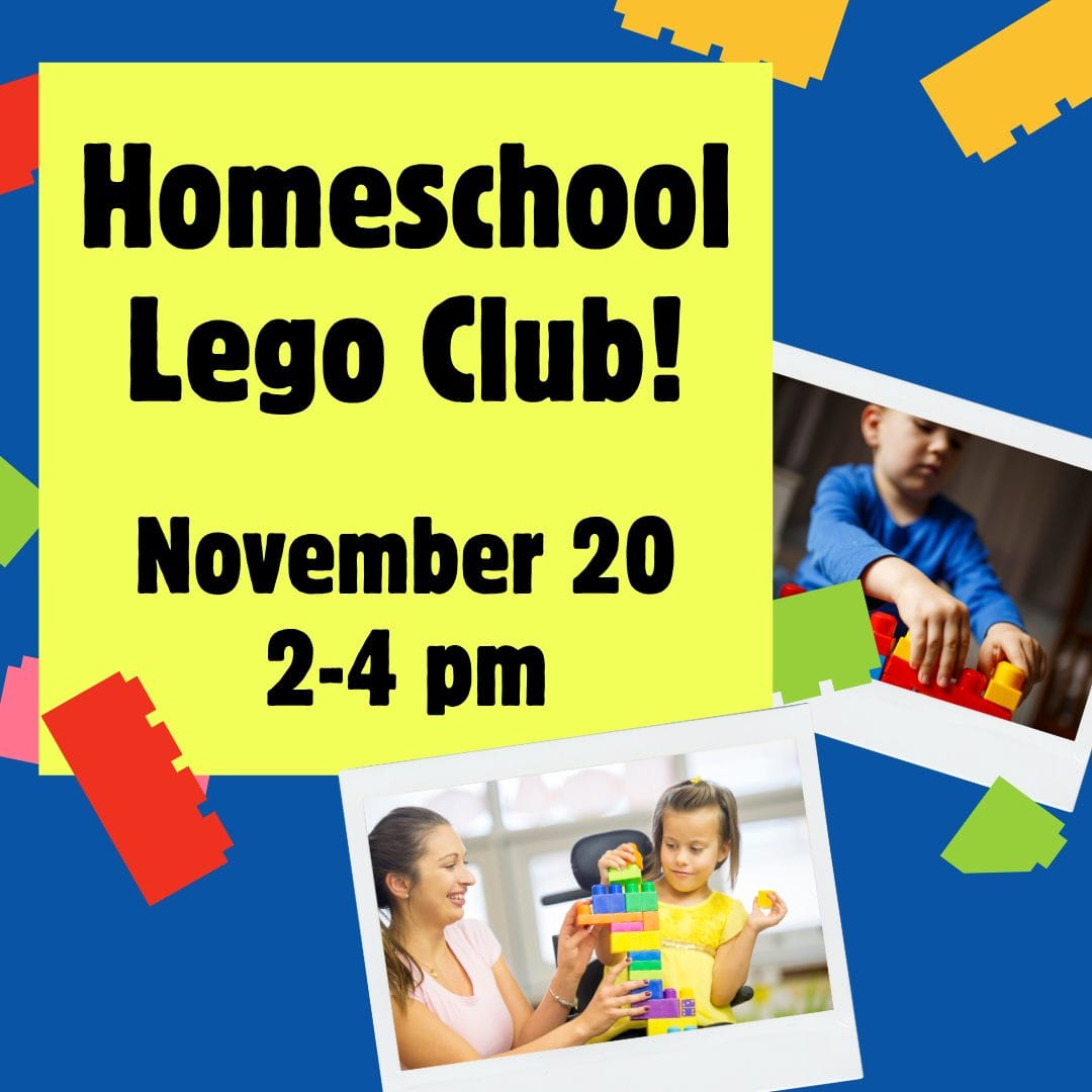 Colorful Building Blocks Back to School Student Intro Video (Instagram Post) (16)