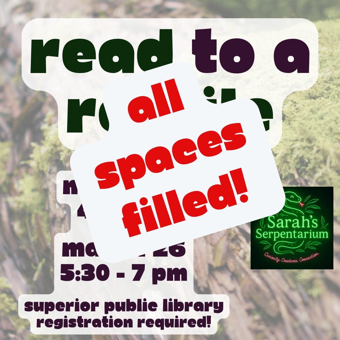 Read to a Reptile for Facebook (Instagram Post) (23)